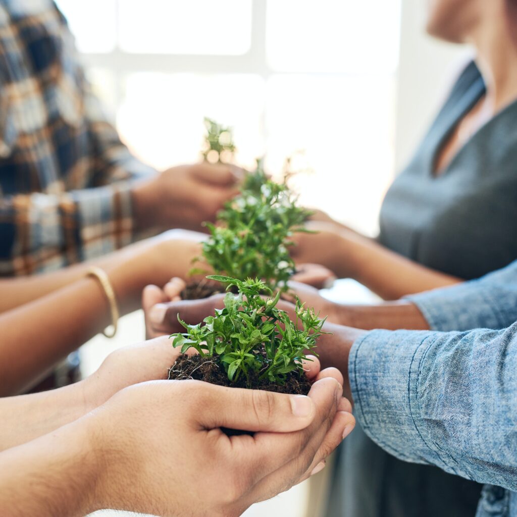 Business at root level. Cropped shot of a team of colleagues holding a plant.